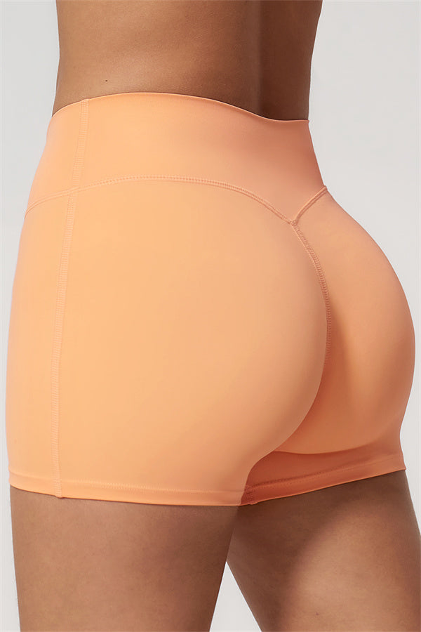 The Nexus Sports Bra Shorts 2-Piece Set