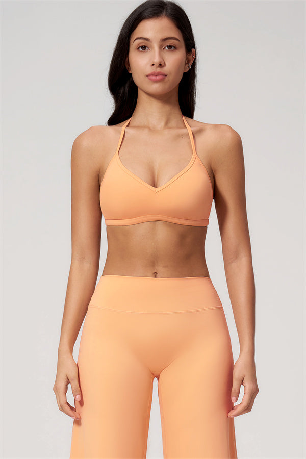 The Nexus Sports Bra