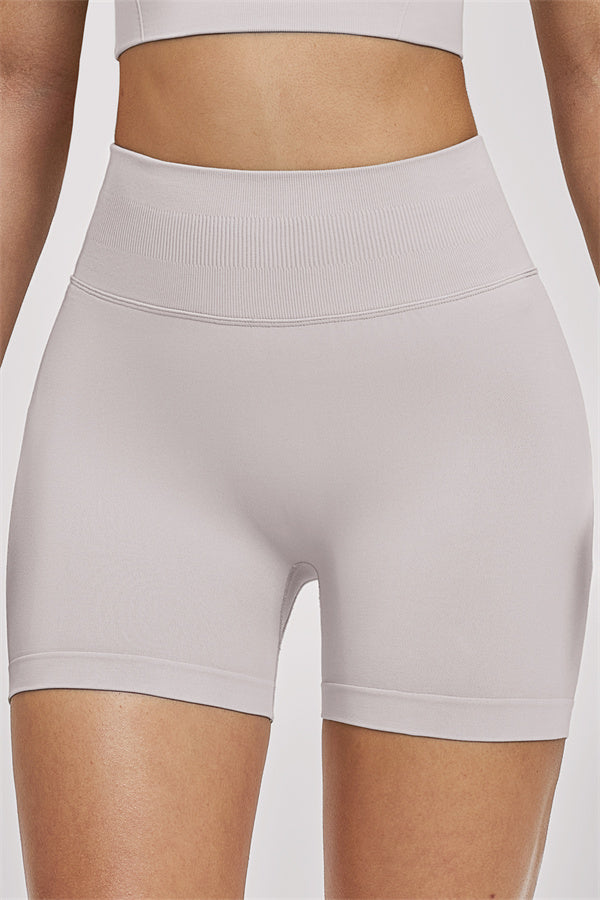The Vision Sports Bra Shorts 2-Piece Set